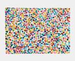 Damien Hirst (1965) - All the way trough