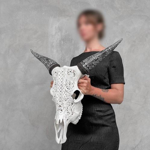 GEEN RESERVEPRIJS - Gegraveerde Witte Koeienschedel met, Antiek en Kunst, Kunst | Designobjecten