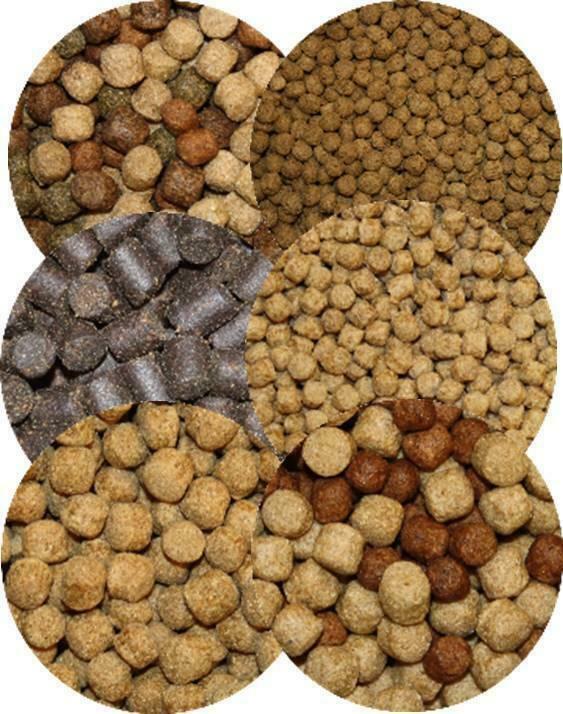 Koivoer - Visvoer diversen merken voor de beste prijzen !, Dieren en Toebehoren, Vissen | Vijvervissen, Karper of Koi