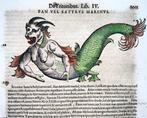 Conrad Gesner [Konrad Gessner] 1516-1565: Fishbuch: Sea, Antiek en Kunst