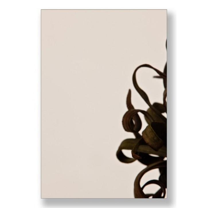 Gehard 8 mm Brons, Doe-het-zelf en Verbouw, Glas en Ramen, Ophalen of Verzenden