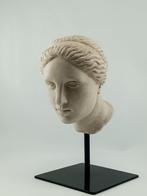 sculptuur, Testa di Afrodite - 22 cm - Scagliola en, Antiek en Kunst
