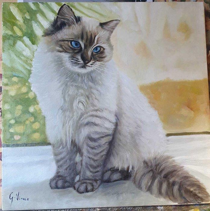 Giorgio Vitale (XX-XXI) - Gatto, Antiek en Kunst, Kunst | Schilderijen | Klassiek