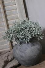 Namaak bos Podocarpus 29 cm, Ophalen of Verzenden, Nieuw