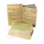 Postcards from Spirit cards - Colette Baron-Reid (Engelstali, Boeken, Verzenden, Nieuw
