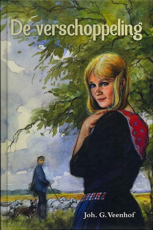 VERSCHOPPELING, DE 9789033609701 Joh. G. Veenhof, Boeken, Streekboeken en Streekromans, Zo goed als nieuw, Verzenden