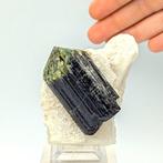 Enorme groene tormalijn DRAVITE, zeldzame terminatie Kristal, Verzamelen, Mineralen en Fossielen