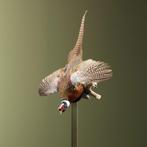 Fazant Vliegend Taxidermie Opgezette Dieren By Max, Verzamelen, Dierenverzamelingen, Ophalen of Verzenden, Nieuw, Vogel, Opgezet dier