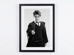 Harry Potter and the Prisoner of Azkaban 2004 - Fine Art, Verzamelen, Nieuw