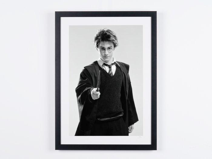Harry Potter and the Prisoner of Azkaban 2004 - Fine Art, Verzamelen, Film en Tv