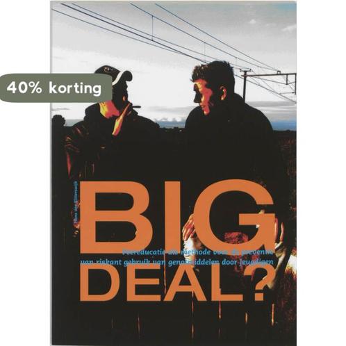 Big Deal ? 9789066655515 F. van Blitterswijk, Boeken, Politiek en Maatschappij, Gelezen, Verzenden