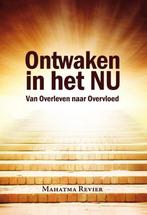 Boek Ontwaken in het nu 9789492412195, Verzenden, Zo goed als nieuw