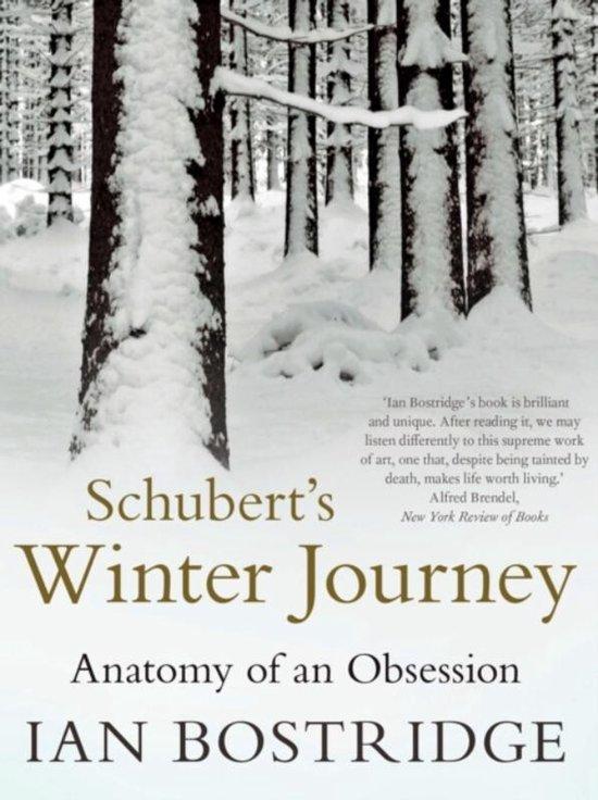 Schuberts Winter Journey 9780571282814 Ian Bostridge, Boeken, Taal | Engels, Zo goed als nieuw, Verzenden