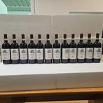 2024 Tenuta di Artimino - Chianti Montalbano DOCG - 12, Nieuw