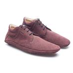 A. Testoni - NO RESERVE - Plumb Sneaker - UK: 12 / US: 13 /, Nieuw