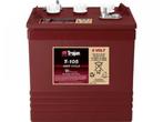 Trojan 6v 225ah accu, Verzenden, Nieuw