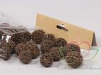 Liguid ambar fruit 100gram. naturel kleinverpakking.  heel, Hobby en Vrije tijd, Knutselen, Ophalen of Verzenden, Nieuw