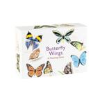 9781786272850 Butterfly Wings Christine Berrie, Boeken, Verzenden, Nieuw, Christine Berrie