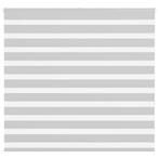vidaXL Zebra rolgordijn 165x150 cm stofbreedte 160,9 cm, Verzenden, Nieuw, Grijs