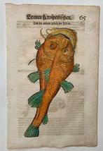 Conrad Gesner - Fischbuch - 1598