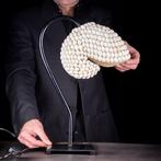 Tafellamp Nautilus bedekt met natuurlijke schelpen -, Antiek en Kunst