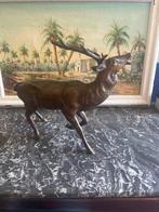 Beeld, Statue cerf en bronze - 36 cm - Brons