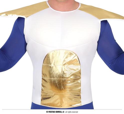 Dragon Ball Z Vegeta kostuum, Hobby en Vrije tijd, Feestartikelen, Feestartikel, Nieuw, Verzenden
