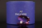 Figuur - Swarovski - Schelp met parel (Boxed) - Kristal