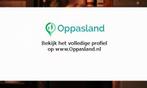 Ik ben Chantal, 21 jaar oud en ik zoek oppaswerk in Spijk...
