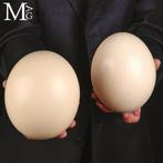 Struisvogeleieren Ei - Coppia di Gusci di Uova di Struzzo