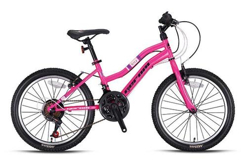 ≥ Lady 20 Inch mountainbike Roze Versnellingen — Fietsen | Meisjes — Marktplaats