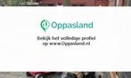 Cathy zoekt een oppas in Hilversum voor 1 kind op maandag..., Vacatures, Vacatures | Vakantiewerk