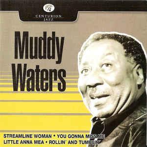 cd - Muddy Waters - Muddy Waters, Cd's en Dvd's, Cd's | Overige Cd's, Zo goed als nieuw, Verzenden