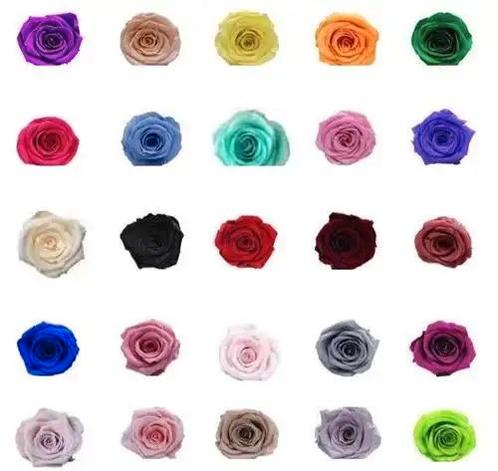 Geconserveerde rozen royal konings blauw doos 8, Hobby en Vrije tijd, Knutselen, Nieuw, Ophalen of Verzenden