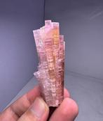 Extreem zeldzaam! Rozeachtig en blauw Cap Tourmaline