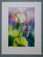 Inna Etuvgi - Tropical Dreams of Fritillaria