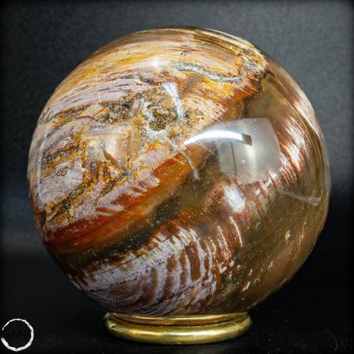 Natuurlijke versteende houten bal van Madagaskar- 851.18 g, Verzamelen, Mineralen en Fossielen