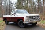 Chevrolet - C10 7.4 V8 Showtruck - 1979