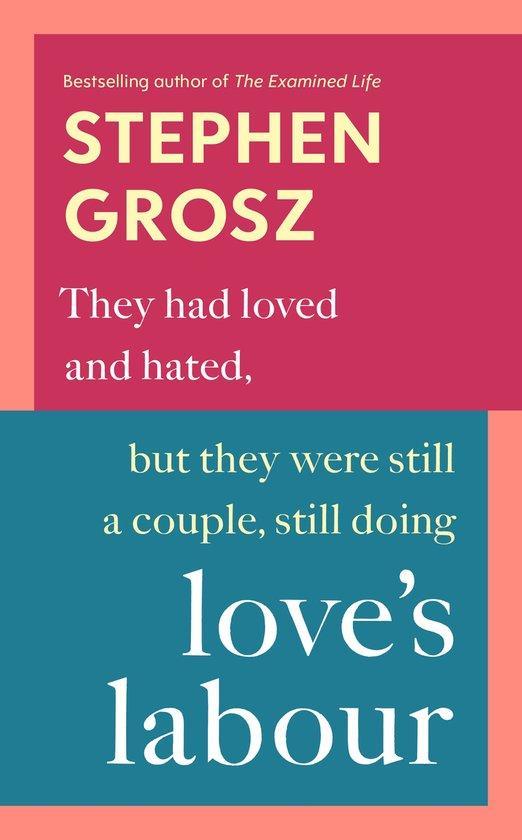 9780701188962 Loves Labour Stephen Grosz, Boeken, Psychologie, Nieuw, Verzenden