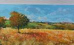 Gino Masini (1949) - A summer day - Tuscany landscape, Antiek en Kunst