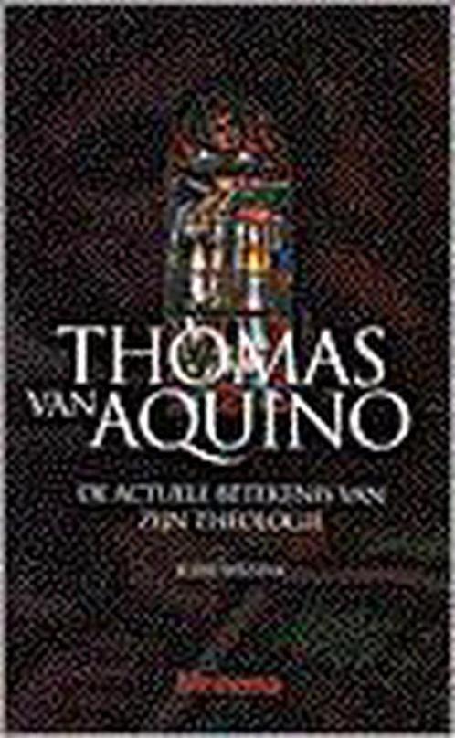 THOMAS VAN AQUINO 9789021137315 J. Wissink, Boeken, Godsdienst en Theologie, Gelezen, Verzenden