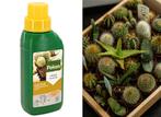 Pokon Cactus Voeding - 250ml - Plantenvoeding - 10ml per 1L, Verzenden
