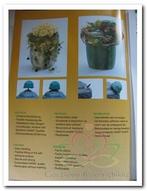 OASIS® Powerstick Corso zelfklevend oase voor verse bloemen, Hobby en Vrije tijd, Ophalen of Verzenden, Nieuw