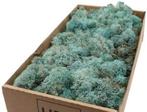 Rendiermos IJslandsmos Finlandsmos Iceblue 500 gram, Hobby en Vrije tijd, Ophalen of Verzenden, Nieuw