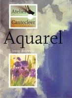 Aquarel 9789021310374 Rodwell, Verzenden, Gelezen, Rodwell
