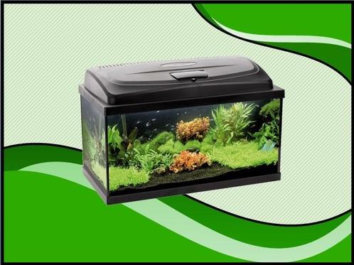 AQUA4 START 60 recht aquarium set compleet, Dieren en Toebehoren, Vissen | Aquaria en Toebehoren, Nieuw, Verzenden