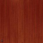 Transparante beits MAHONIE 045 - 20 liter - terpentine ve..., Overige kleuren, Nieuw, Beits, Ophalen of Verzenden