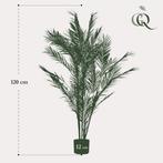 Kunstplant - Chamaedorea Elegans - Bergpalm - 120 cm, Verzenden, Nieuw