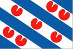 Friesland, Watersport en Boten, Ophalen of Verzenden, Nieuw, Zeilboot of Motorboot