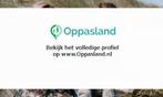 Nadine zoekt een oppas in Gouda voor 1 kind voor 4 dagen..., Vacatures, Vacatures | Horeca en Catering